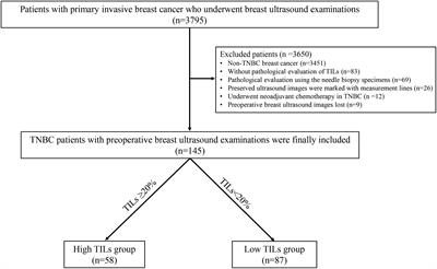 Clinical and radiomics integrated nomogram for preoperative prediction of tumor-infiltrating lymphocytes in patients with triple-negative breast cancer